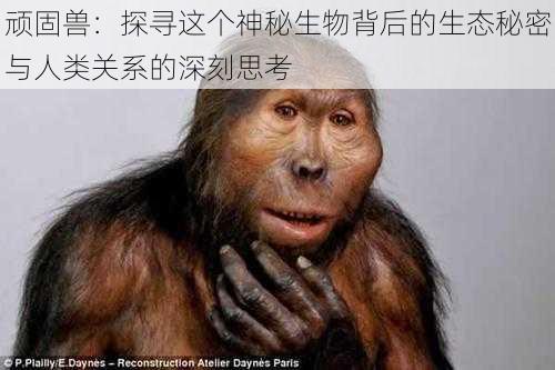 顽固兽:探寻这个神秘生物背后的生态秘密与人类关系的深刻思考
