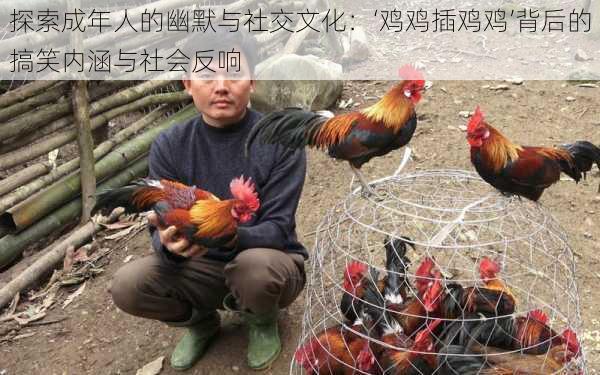 探索成年人的幽默与社交文化:‘鸡鸡插鸡鸡’背后的搞笑内涵与社会反响