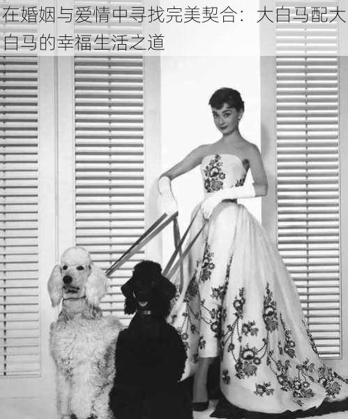 在婚姻与爱情中寻找完美契合:大白马配大白马的幸福生活之道