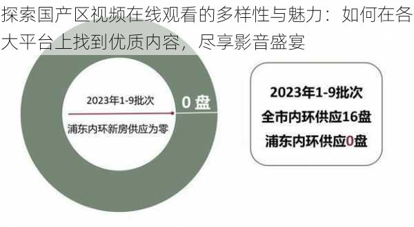 探索国产区视频在线观看的多样性与魅力:如何在各大平台上找到优质内容,尽享影音盛宴