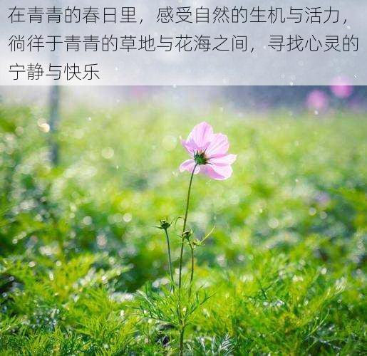 在青青的春日里,感受自然的生机与活力,徜徉于青青的草地与花海之间,寻找心灵的宁静与快乐