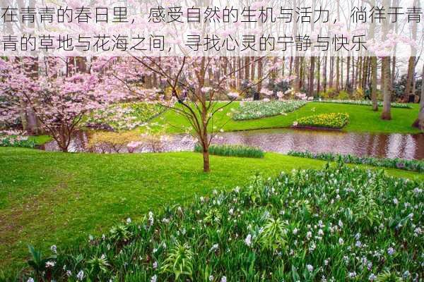 在青青的春日里,感受自然的生机与活力,徜徉于青青的草地与花海之间,寻找心灵的宁静与快乐