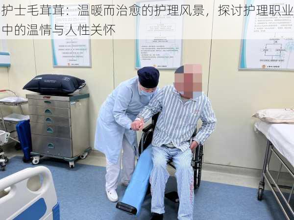 护士毛茸茸:温暖而治愈的护理风景,探讨护理职业中的温情与人性关怀