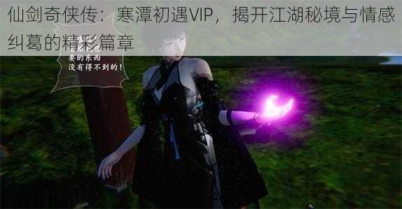 仙剑奇侠传:寒潭初遇VIP,揭开江湖秘境与情感纠葛的精彩篇章