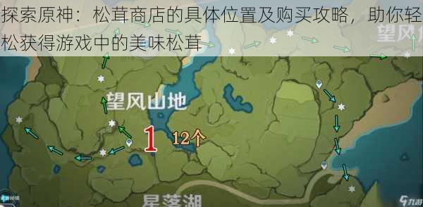 探索原神:松茸商店的具体位置及购买攻略,助你轻松获得游戏中的美味松茸