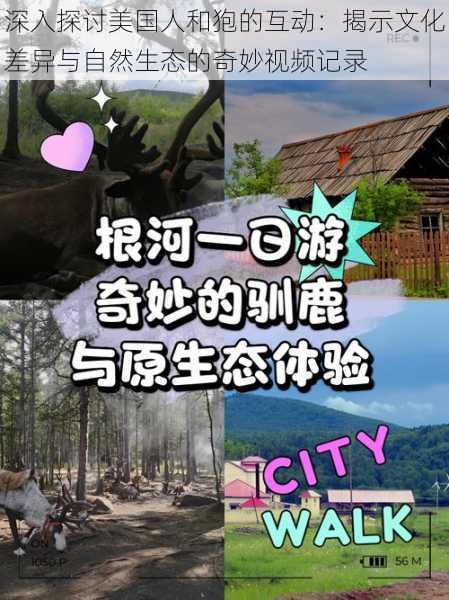 深入探讨美国人和狍的互动:揭示文化差异与自然生态的奇妙视频记录
