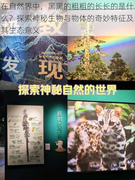 在自然界中,黑黑的粗粗的长长的是什么?探索神秘生物与物体的奇妙特征及其生态意义