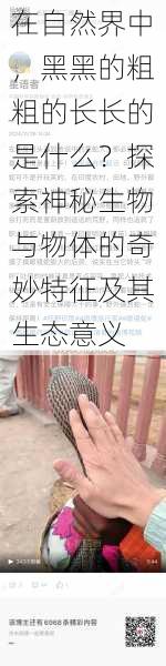 在自然界中，黑黑的粗粗的长长的是什么？探索神秘生物与物体的奇妙特征及其生态意义