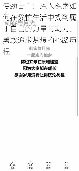 使劲日":深入探索如何在繁忙生活中找到属于自己的力量与动力,勇敢追求梦想的心路历程