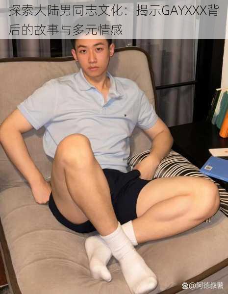 探索大陆男同志文化：揭示GAYXXX背后的故事与多元情感