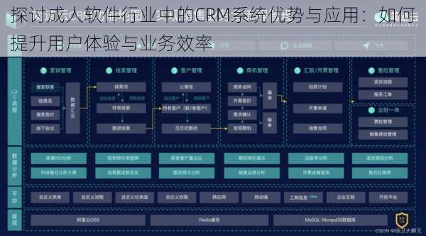 探讨成人软件行业中的CRM系统优势与应用:如何提升用户体验与业务效率