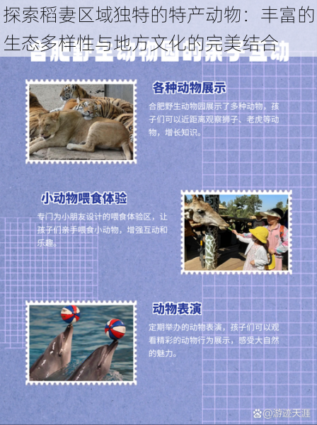 探索稻妻区域独特的特产动物:丰富的生态多样性与地方文化的完美结合