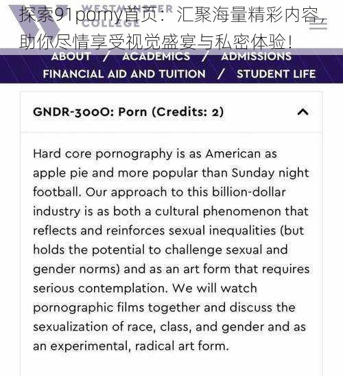 探索91porny首页:汇聚海量精彩内容,助你尽情享受视觉盛宴与私密体验!