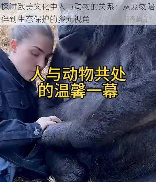 探讨欧美文化中人与动物的关系：从宠物陪伴到生态保护的多元视角