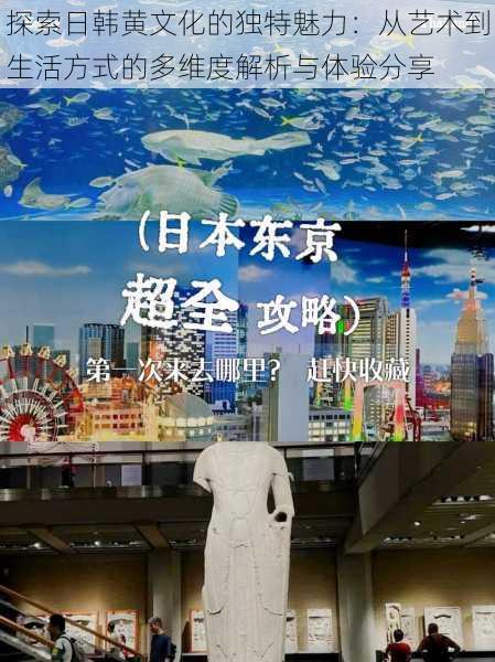 探索日韩黄文化的独特魅力:从艺术到生活方式的多维度解析与体验分享