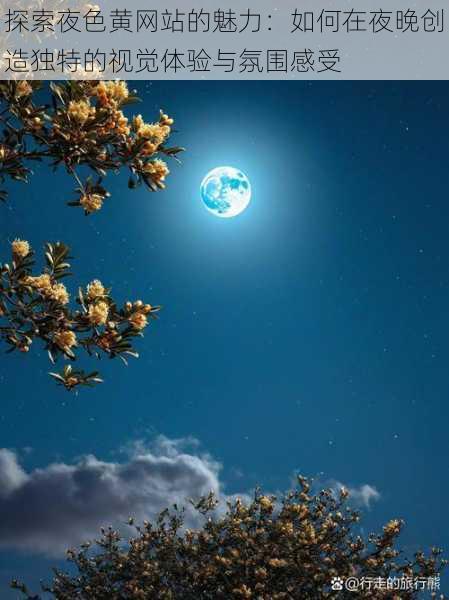 探索夜色黄网站的魅力:如何在夜晚创造独特的视觉体验与氛围感受