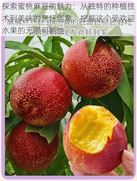 探索蜜桃麻豆的魅力：从独特的种植技术到美味的烹饪创意，挖掘这个受欢迎水果的无限可能性