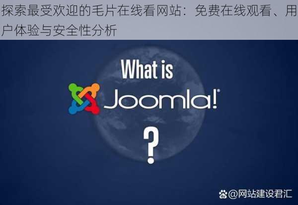 探索最受欢迎的毛片在线看网站：免费在线观看、用户体验与安全性分析