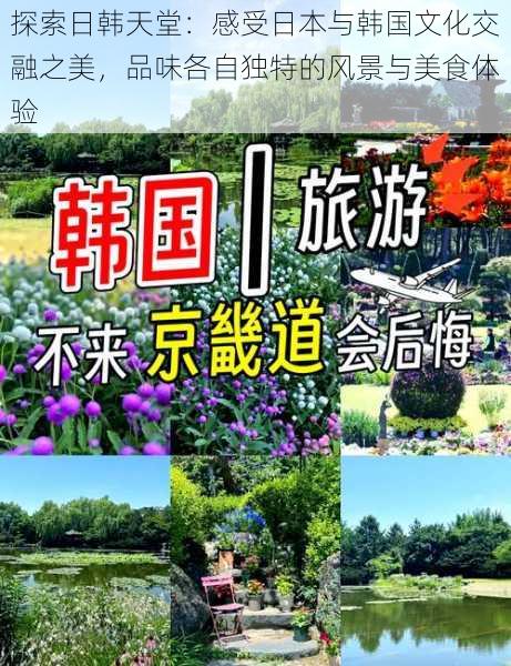 探索日韩天堂:感受日本与韩国文化交融之美,品味各自独特的风景与美食体验