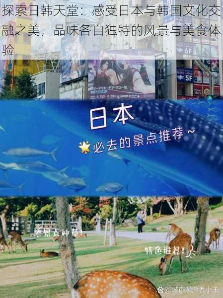 探索日韩天堂:感受日本与韩国文化交融之美,品味各自独特的风景与美食体验