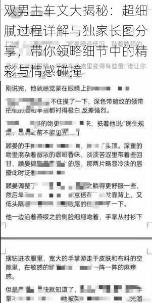 双男主车文大揭秘:超细腻过程详解与独家长图分享,带你领略细节中的精彩与情感碰撞