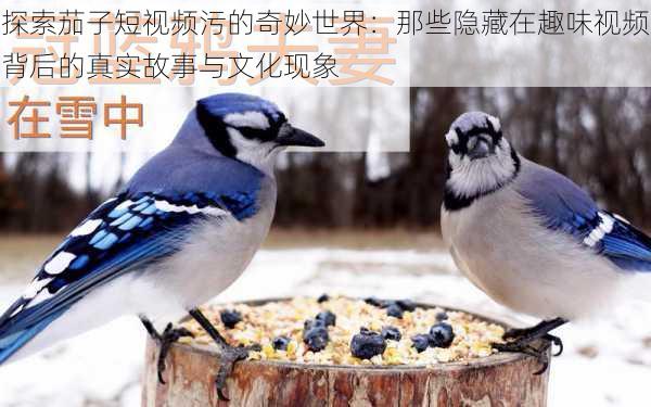 探索茄子短视频污的奇妙世界:那些隐藏在趣味视频背后的真实故事与文化现象
