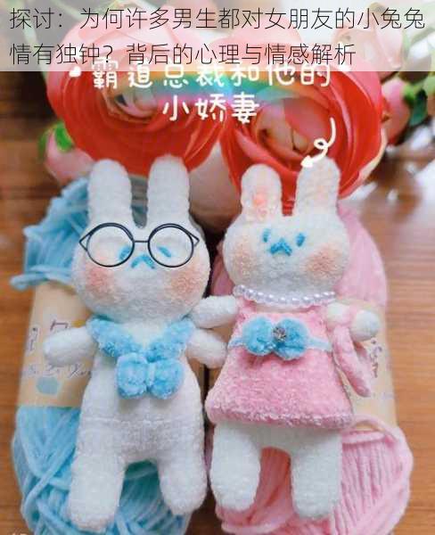 探讨：为何许多男生都对女朋友的小兔兔情有独钟？背后的心理与情感解析