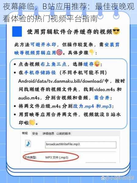 夜幕降临,B站应用推荐:最佳夜晚观看体验的热门视频平台指南