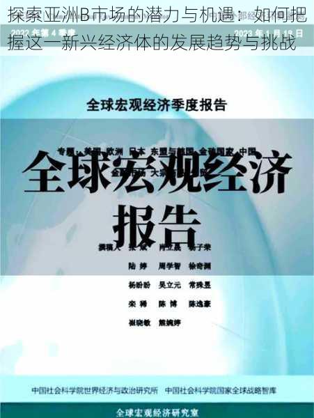 探索亚洲B市场的潜力与机遇:如何把握这一新兴经济体的发展趋势与挑战