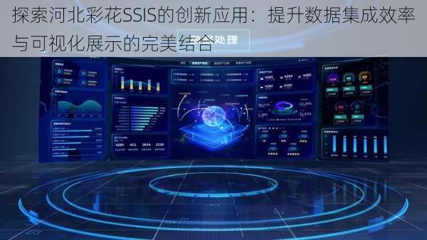 探索河北彩花SSIS的创新应用:提升数据集成效率与可视化展示的完美结合