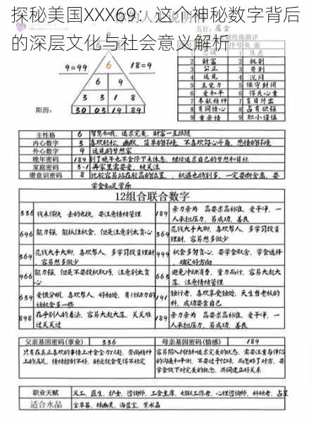 探秘美国XXX69:这个神秘数字背后的深层文化与社会意义解析