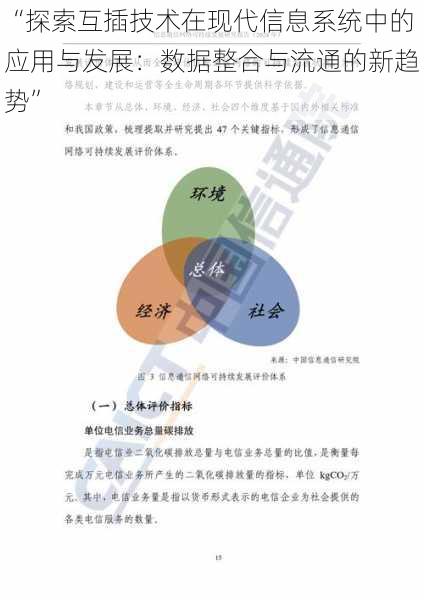 “探索互插技术在现代信息系统中的应用与发展:数据整合与流通的新趋势”