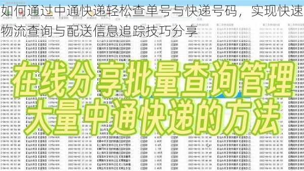 如何通过中通快递轻松查单号与快递号码,实现快速物流查询与配送信息追踪技巧分享