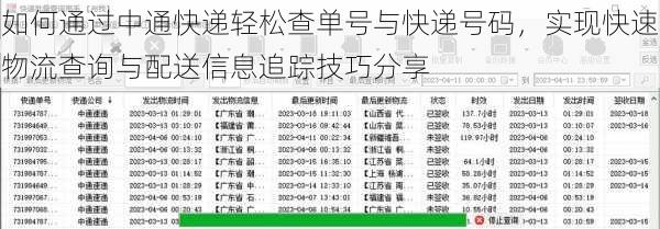 如何通过中通快递轻松查单号与快递号码,实现快速物流查询与配送信息追踪技巧分享