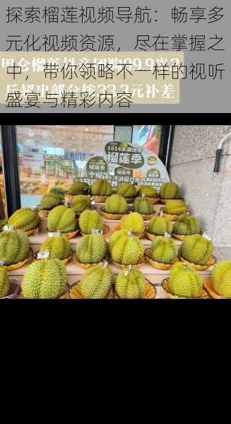 探索榴莲视频导航:畅享多元化视频资源,尽在掌握之中,带你领略不一样的视听盛宴与精彩内容