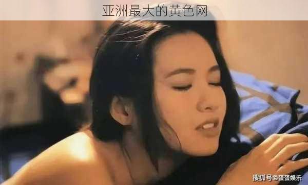 亚洲最大的黄色网