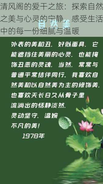 清风阁的爱干之旅:探索自然之美与心灵的宁静,感受生活中的每一份细腻与温暖