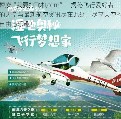 探索“我要打飞机com”:揭秘飞行爱好者的天堂与最新航空资讯尽在此处,尽享天空的自由与乐趣!