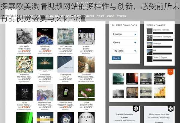 探索欧美激情视频网站的多样性与创新,感受前所未有的视觉盛宴与文化碰撞