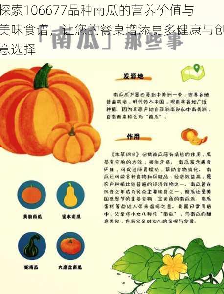 探索106677品种南瓜的营养价值与美味食谱，让您的餐桌增添更多健康与创意选择