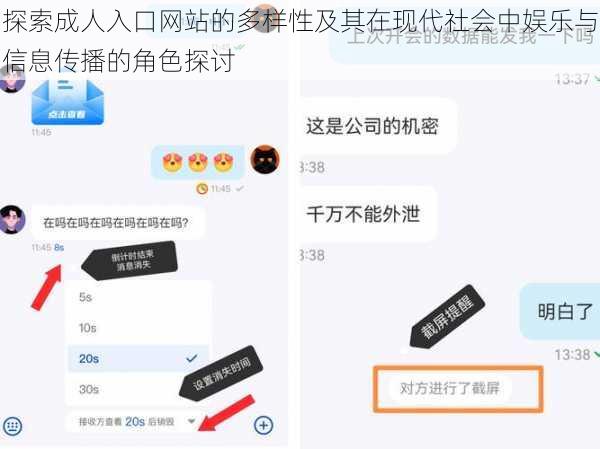 探索成人入口网站的多样性及其在现代社会中娱乐与信息传播的角色探讨