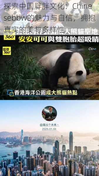 探索中国胖胖文化:Chinesebbw的魅力与自信,拥抱真实的美与多样性