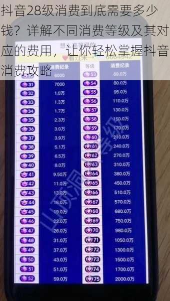抖音28级消费到底需要多少钱?详解不同消费等级及其对应的费用,让你轻松掌握抖音消费攻略