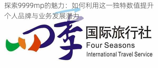 探索9999mp的魅力:如何利用这一独特数值提升个人品牌与业务发展潜力