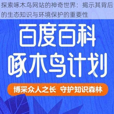 探索啄木鸟网站的神奇世界:揭示其背后的生态知识与环境保护的重要性