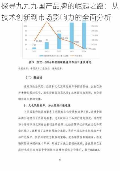探寻九九九国产品牌的崛起之路:从技术创新到市场影响力的全面分析