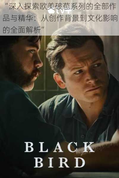 “深入探索欧美破苞系列的全部作品与精华:从创作背景到文化影响的全面解析”