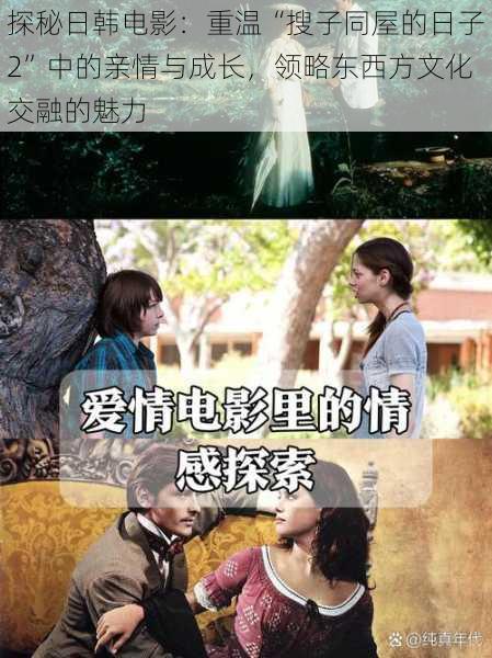 探秘日韩电影:重温“搜子同屋的日子2”中的亲情与成长,领略东西方文化交融的魅力