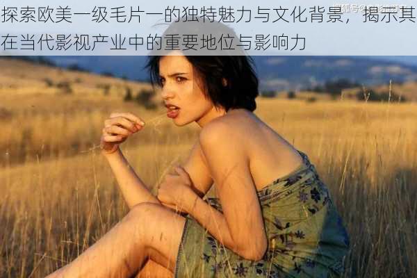 探索欧美一级毛片一的独特魅力与文化背景,揭示其在当代影视产业中的重要地位与影响力