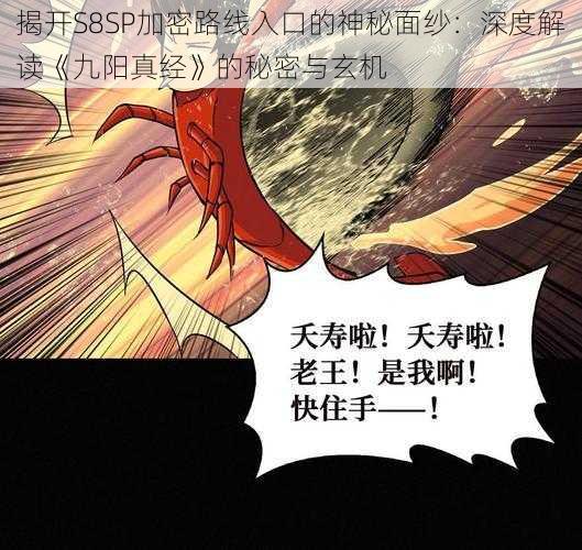揭开S8SP加密路线入口的神秘面纱:深度解读《九阳真经》的秘密与玄机